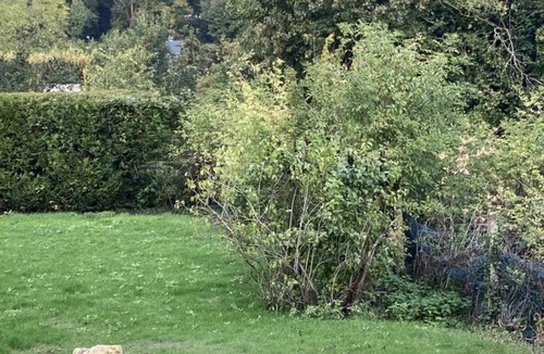 Buzancy Cottage | Charming house with garden, pets welcome and parking near Soissons