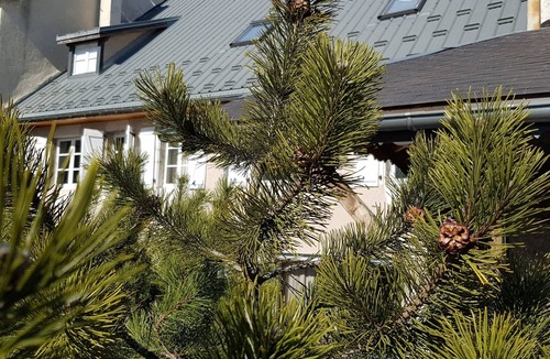 Villard-de-Lans House | Charming old village house in Villard de Lans with enclosed garden