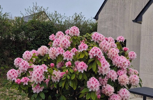 Porspoder House | Charming, quiet house close to the sea and GR 34