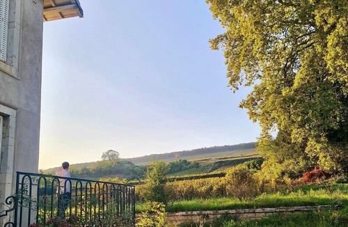 Ladoix-Serrigny House | Charming renovated villa with exceptional view on its vineyards (incl. Fan & AC)