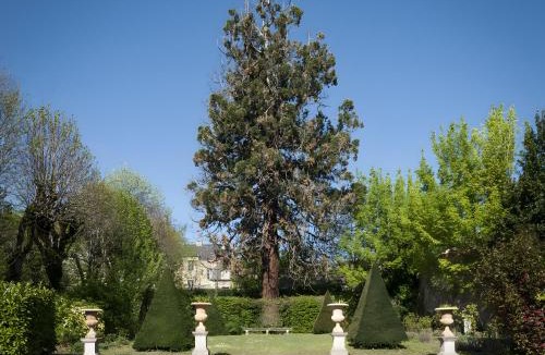 Saint-Amand-Montrond Bed & Breakfast | Chez Diane - Maison Hôtelière