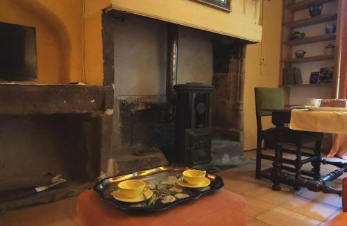 Le Puy-en-Velay Apartment | Cocon au cœur du Puy-en-Velay avec cour privée et WIFI - FR-1-582-325
