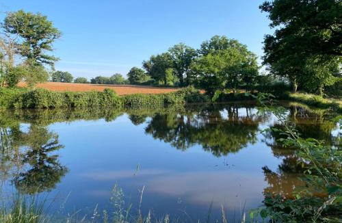 Saint-Desire Other | Comfort Safari Tent with Terrace on Nature Campground in France