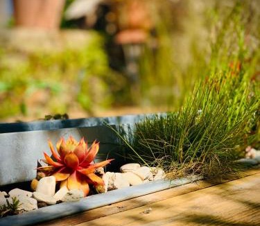 Chammes Bed & Breakfast | Coté jardin