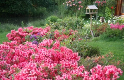 La Bussiere Cottage | Country Cottage/Gite - LA BUSSIERE