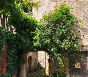 Menetreol-sous-Sancerre Apartment | Demeure de charme du 16ème siècle près de Sancerre
