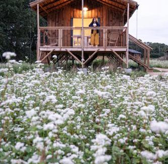 Ploemel Ski Chalet | Dihan Evasion