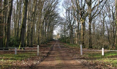 Souvigne-sur-Sarthe House | Domaine de la Haute-Porte
