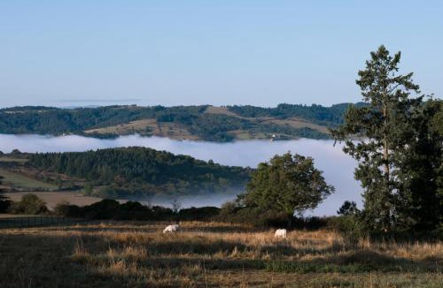 Cordelle Bed & Breakfast | Domaine des Grands Cèdres