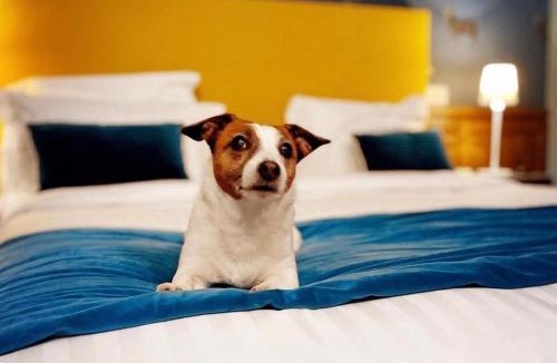 Chassy Hotel | Domaine Du Roncemay - Hôtel, Restaurants, Spa & Golf