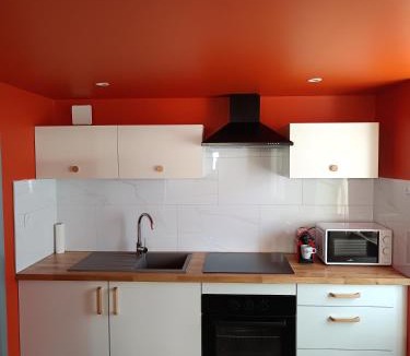 Joncy Apartment | Duplex accès de plein pied, spacieux lumineux