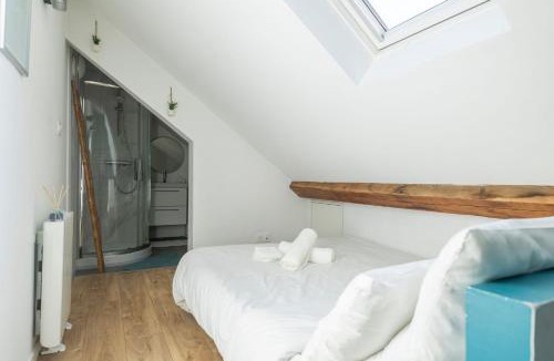 Grenoble City Centre Apartment | Duplex Cosy & Lumineux, Tram, Hyper-Centre, Netflix