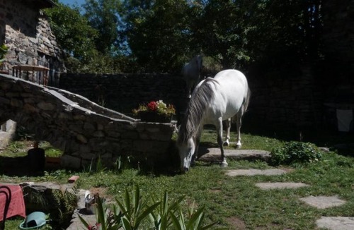 Yssingeaux House | Eco-gîte La Clé des Champs