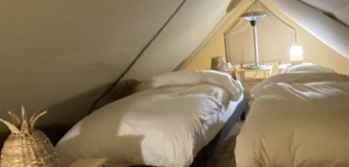 Treigny Cabin | Ecolodge Beauregard