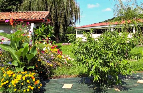Saint-Pee-sur-Nivelle Apartment | Enjoy an unforgettable vacation close to nature in this inviting vacation home!