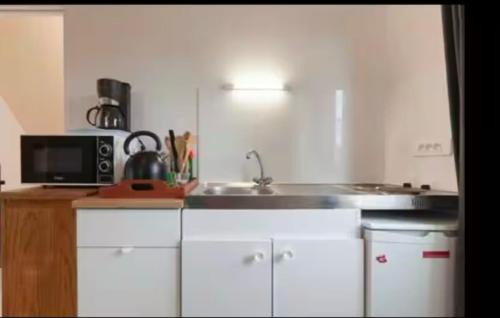 Plouedern House | Envol du Phénix - Studio Phenix 20 m² avec jardin