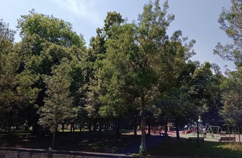 Nevers Apartment | Facing the Park on the Sanctuary side