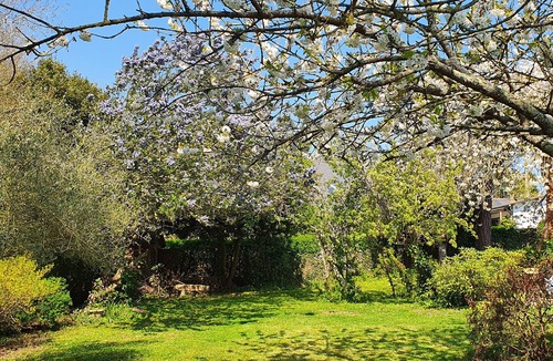 Binic House | Family home, 5 minutes from the beach