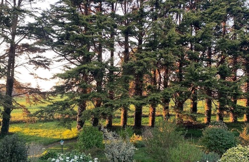 Quimperle House | Family home between Finistère and Morbihan