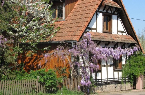 Betschdorf Apartment | Ferienwohnung/app. für 2 Gäste mit 35m² in Schwabwiller