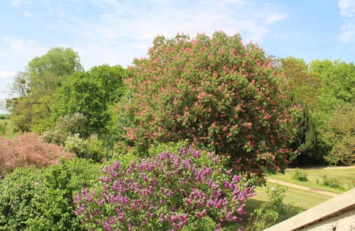Tancrou Bed & Breakfast | Ferme de la Vallière