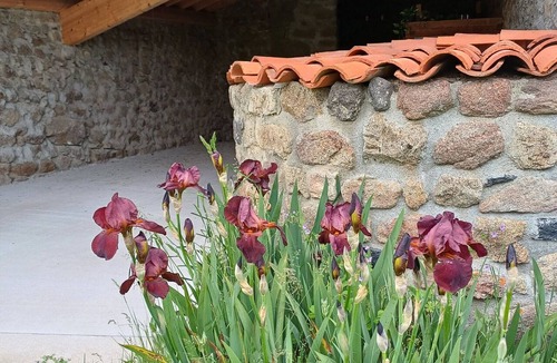Saint-Geneys-pres-Saint-Paulien Cottage | Stone house with fireplace and garden - Near St-Paulien