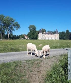 Neuville-les-Decize House | Gîte à la ferme, avec animaux, fromages et nature
