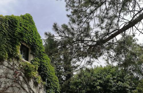 Curtil-Vergy Apartment | Gîte 2 chambres Hautes Côtes de Nuits