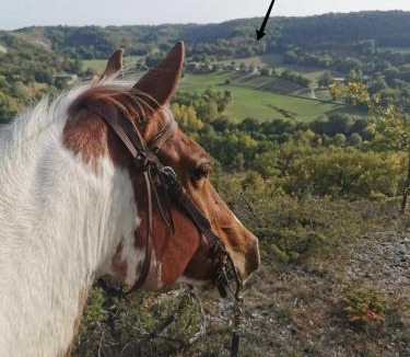 Le Boulve Bed & Breakfast | Gîte Baden