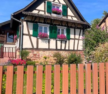 Morsbronn-les-Bains House | Gîte Chez Hanna et Michel 2 chambres