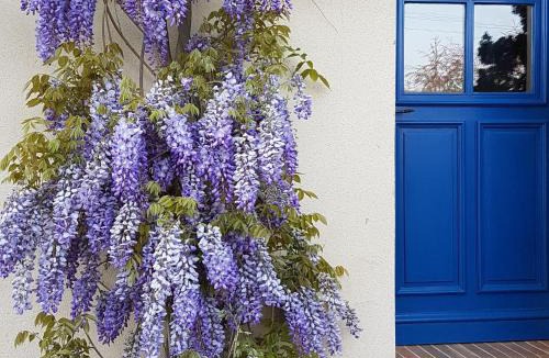 Sury-en-Vaux House | Gîte Confortable au Cœur du Vignoble de Sancerre avec Internet et Proche de la Loire à Vélo - FR-1-586-3