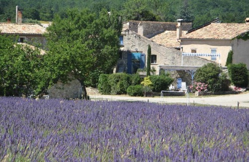 Sault House | Gîte de caractère au pied du Mont Ventoux avec piscine couverte
