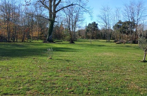 Solferino House | Gîte de charme dans la forêt landaise