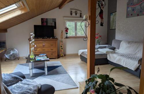 Soucht House | Gîte de la vallée, En Pleine Forêt