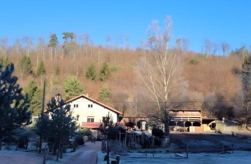 Soucht House | Gîte de la vallée, En Pleine Forêt