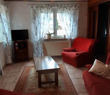 Bindernheim House | Gîte des Tourtereaux proche Europapark et Rulantica