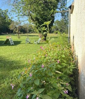 Lanouaille House | Gîte du Cerisier