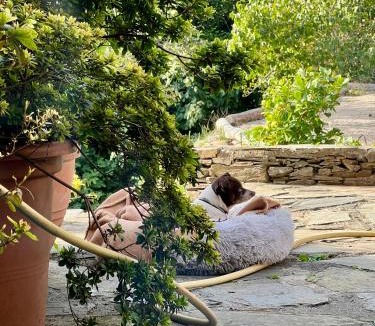 Sumene House | Gîte en Cévennes