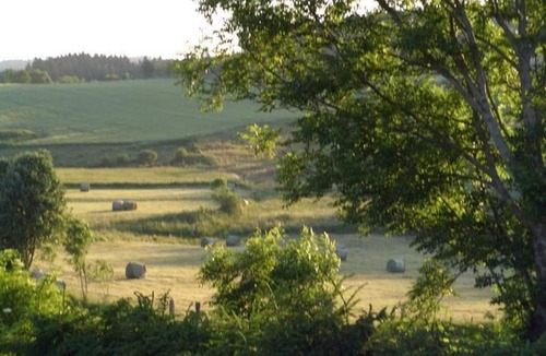 Jullianges House | Gîte familial au calme avec jeux, VTT, randonnée, près du Parc Livradois, La Chaise-Dieu et Craponne - FR-1-582-214