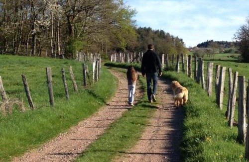 Belmont-de-la-Loire House | Gîte harmonieux 8 pers avec cheminée et animaux admis - FR-1-496-32