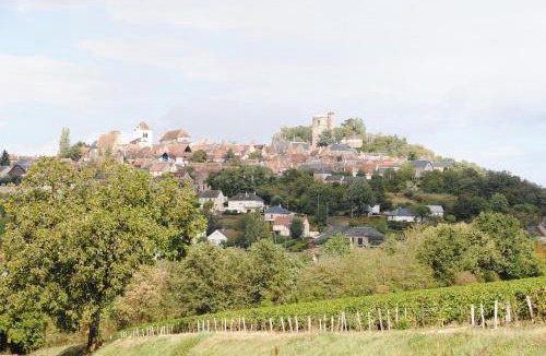 Sens-Beaujeu House | Gîte les Sureaux