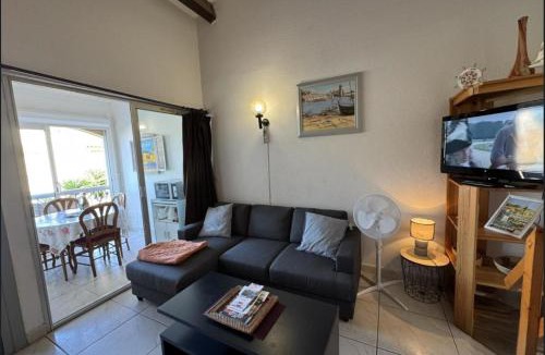 Argeles Plage Apartment | Gîte Méditérranée