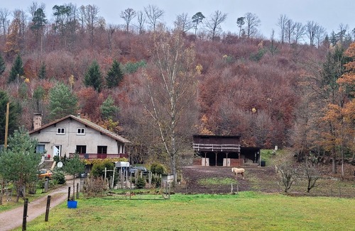 Soucht Other | Gîte mon Chez moi Avec Ânes et Chevaux Pour Randonner en Forêt