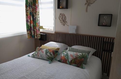 Villefranche-sur-Cher Ski Chalet | Gîte Panda house