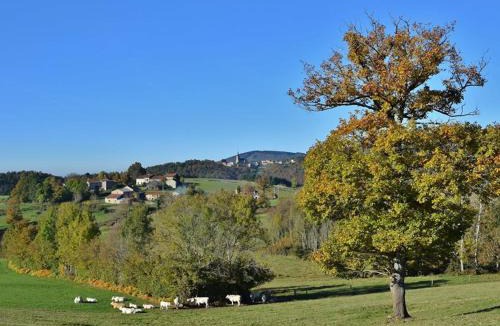 La Chabanne House | Gîte pour 14 pers à La Chabanne avec WiFi et animaux admis - FR-1-489-340