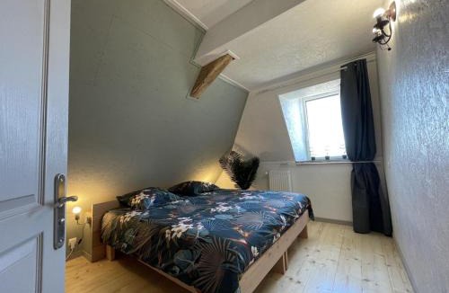 Blomard House | Gîte rustique avec piscine partagée et animaux admis, 15 pers - FR-1-489-465