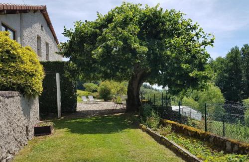 Laprugne House | Gîte verdoyant 8 pers, animaux admis, parking - FR-1-489-458