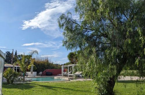 Baho House | Gite L olivier