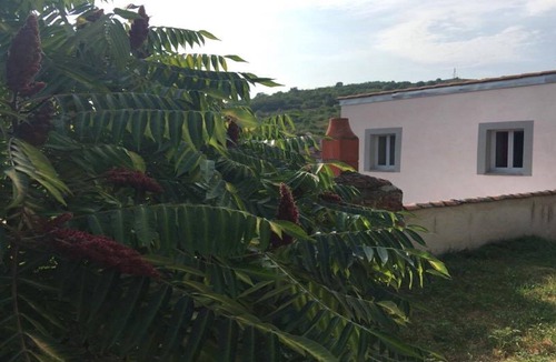 Champeix House | Gîte *** La CHAMPILLAUMIERE: the cocoon spirit