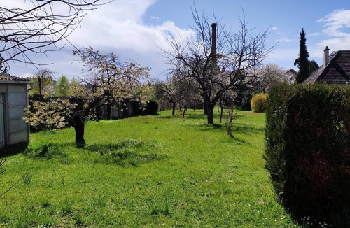 Briare House | Gîte les 2 cygnes: a gentle adventure on the banks of the Loire